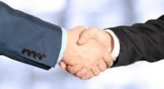 Business professionals shaking hands in agreement